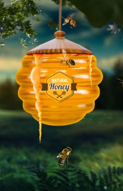 RECENT WORKS THUMNAIL_PURE HONEY